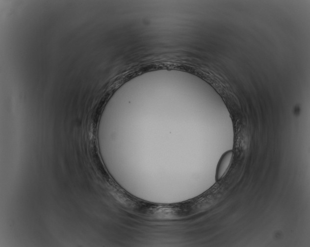 X0000097810518200803140802
