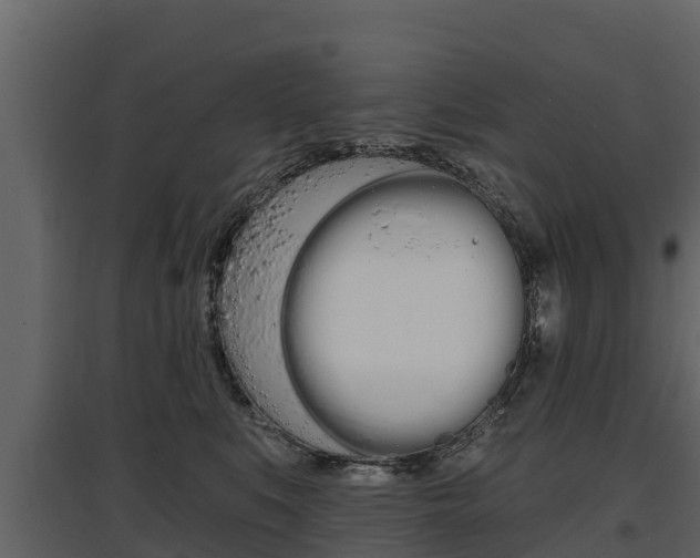 X0000097810519200803140802