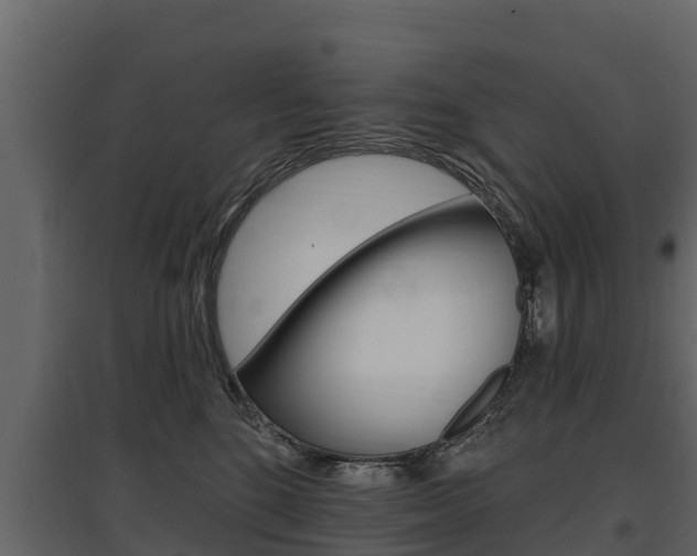 X0000097810520200803140802