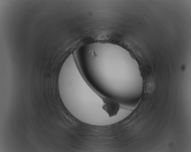X0000097810521200803140802