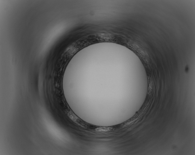X0000097810526200803140801