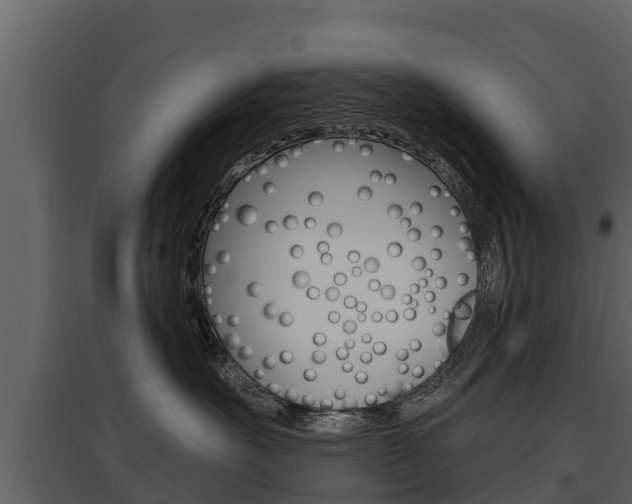 X0000097810527200803140801
