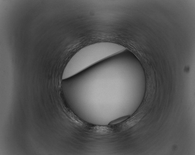 X0000097810528200803140801