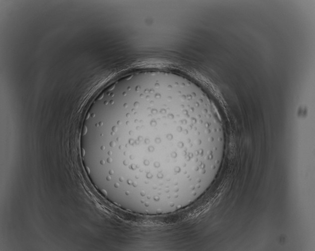X0000097810529200803140801