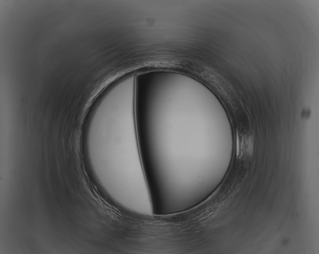 X0000097810531200803140801