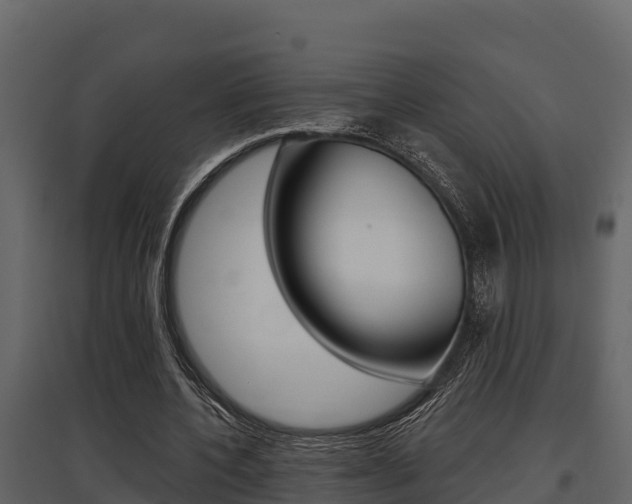 X0000097810532200803140801