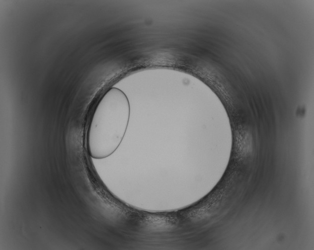 X0000097810534200803140801