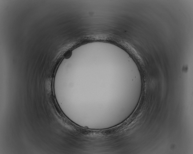 X0000097810537200803140801