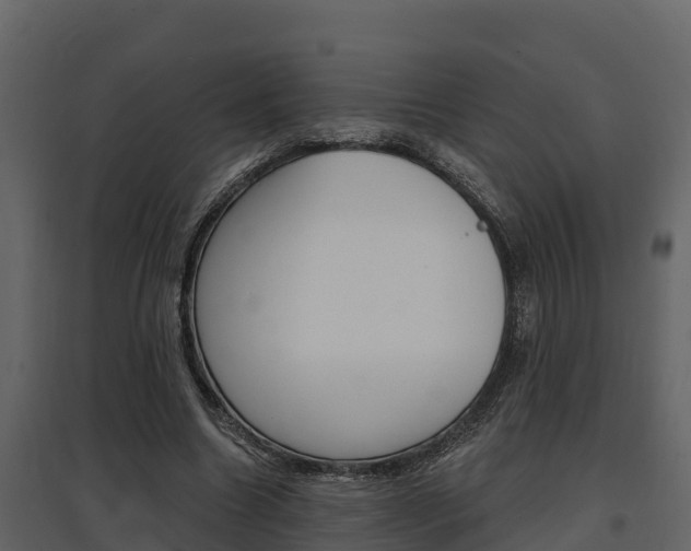 X0000097810538200803140801
