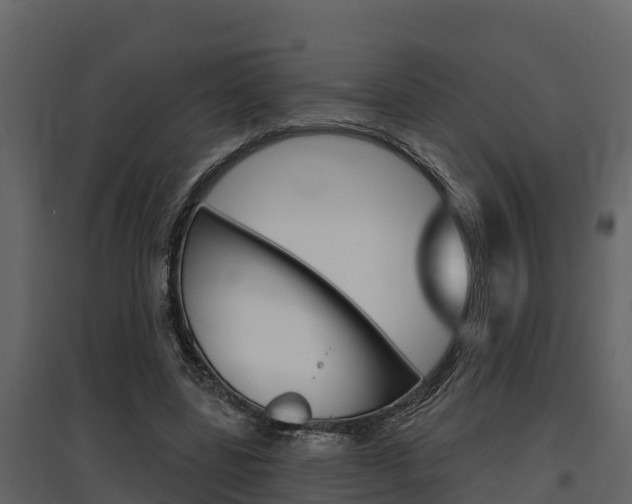 X0000097810539200803140801