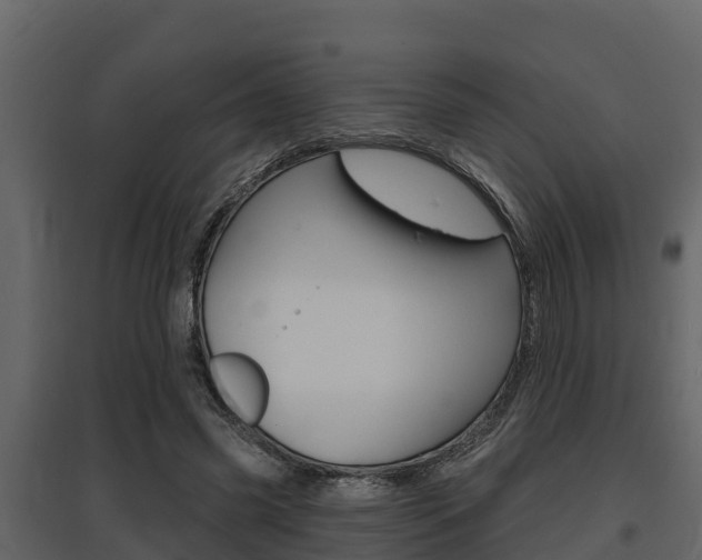 X0000097810541200803140801