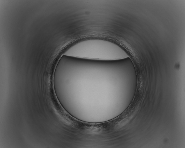 X0000097810542200803140801