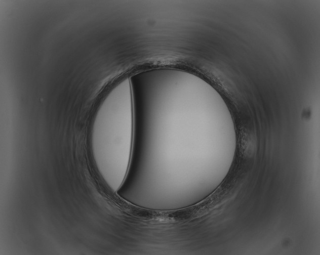 X0000097810543200803140801