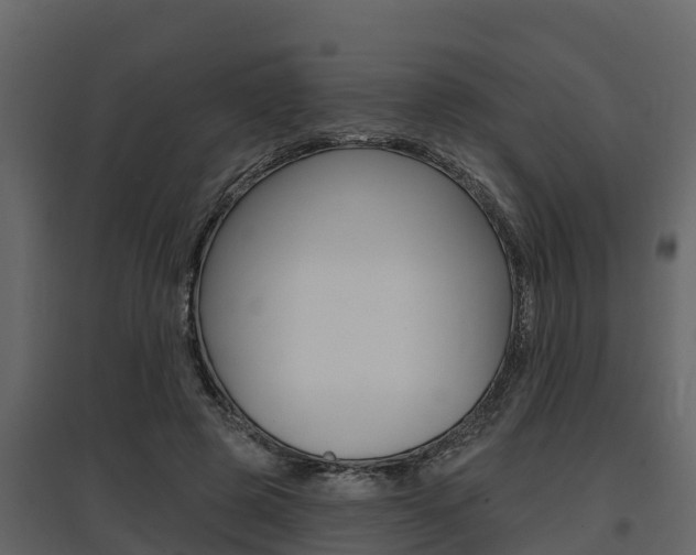 X0000097810545200803140801