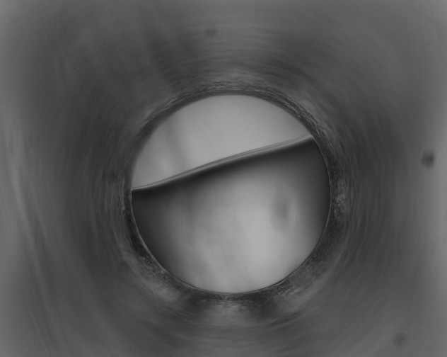 X0000097810547200803140801