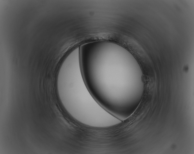 X0000097810548200803140801