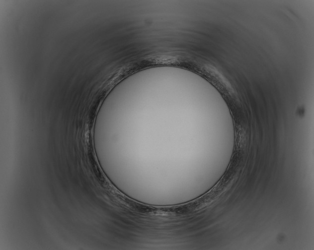 X0000097810549200803140801