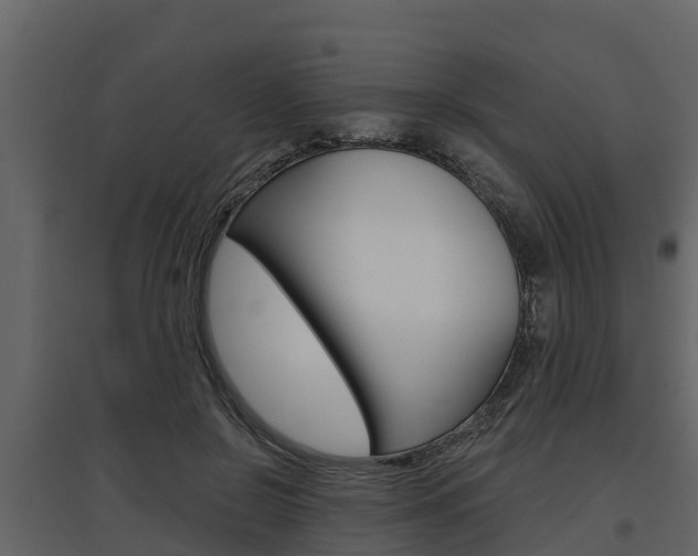 X0000097810550200803140801