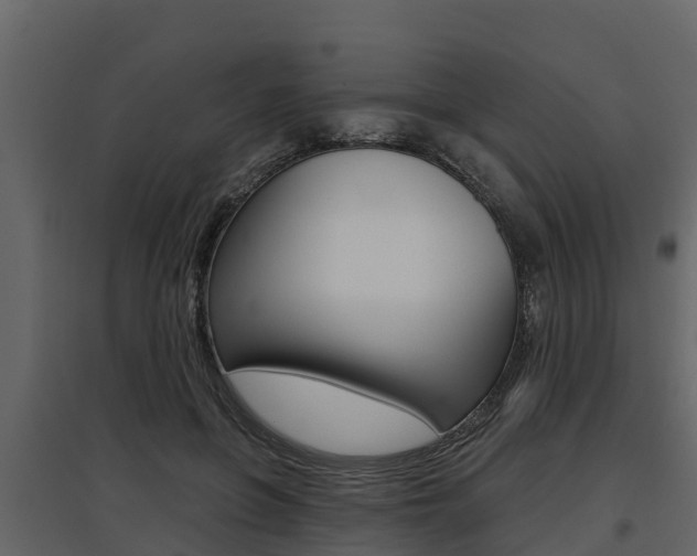 X0000097810551200803140801