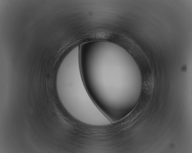 X0000097810552200803140801
