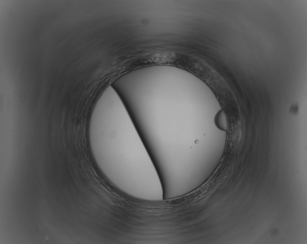X0000097810553200803140801