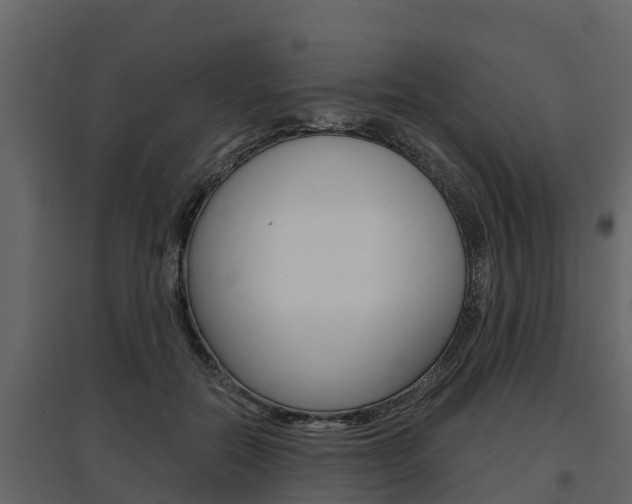 X0000097810554200803140801