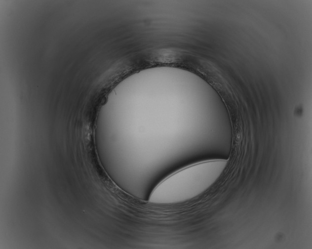 X0000097810555200803140801