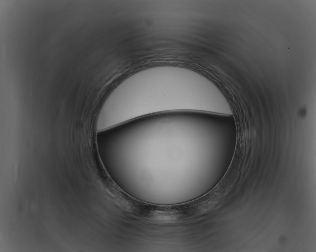 X0000097810556200803140801