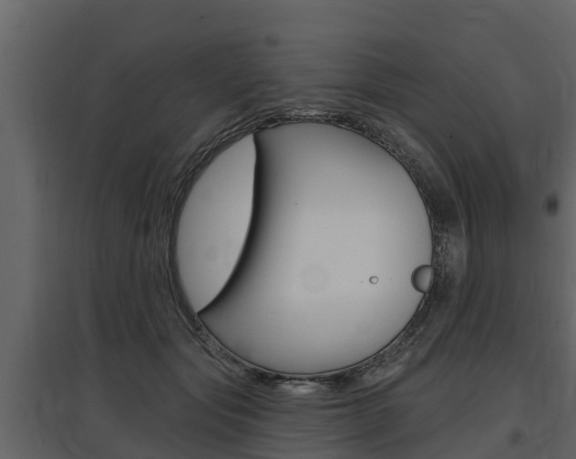 X0000097810557200803140801