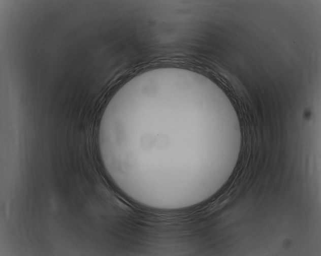 X0000097810558200803140801