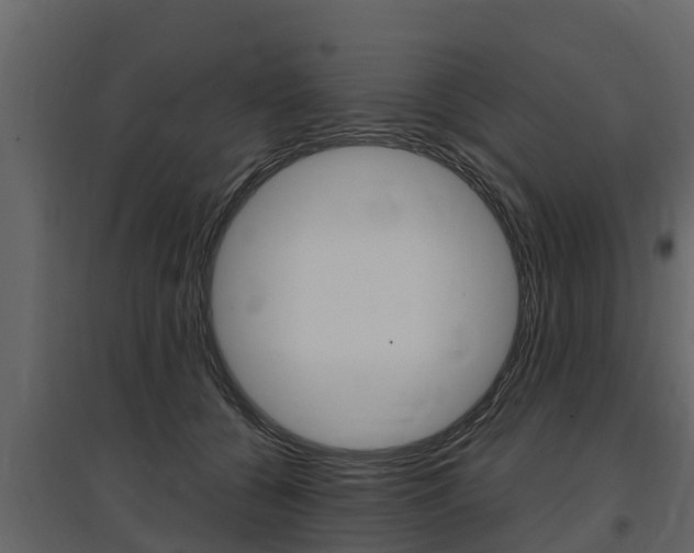 X0000097810560200803140801