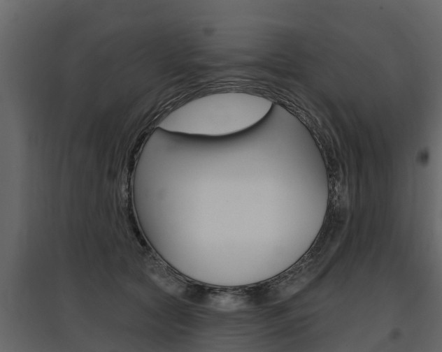 X0000097810561200803140801
