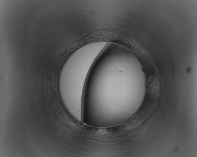 X0000097810562200803140801