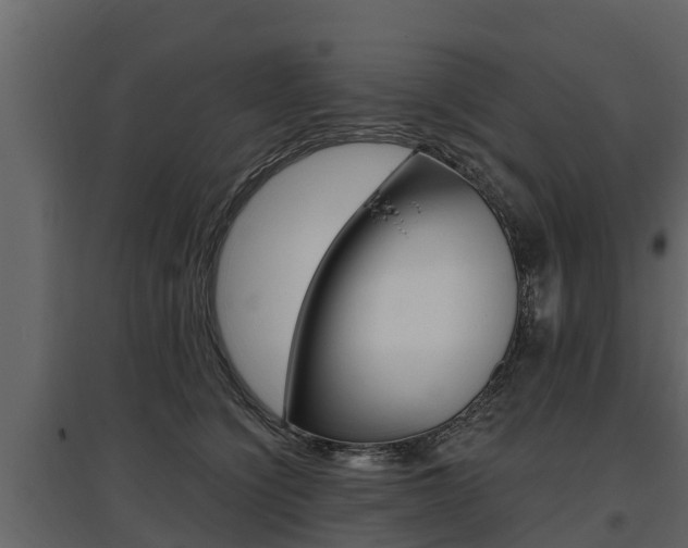 X0000097810564200803140801