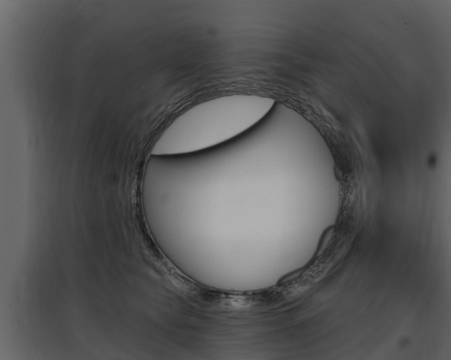 X0000097810565200803140801