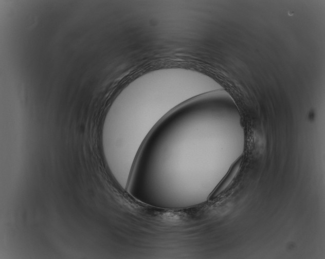 X0000097810566200803140801