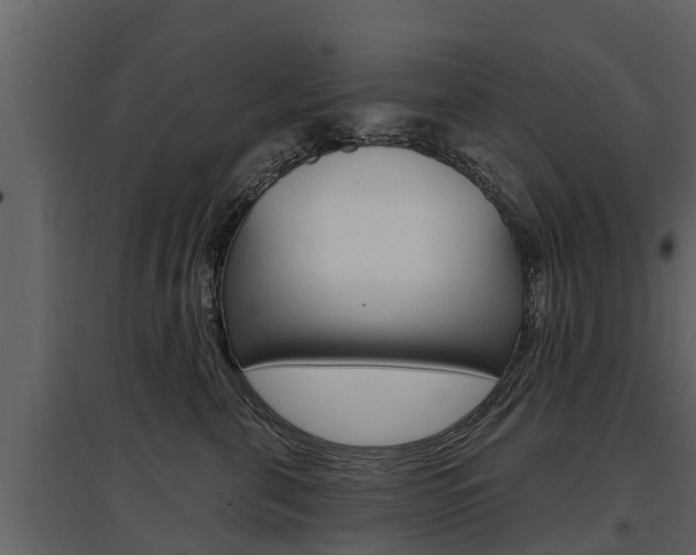 X0000097810571200803140801