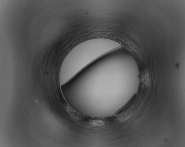 X0000097810572200803140801