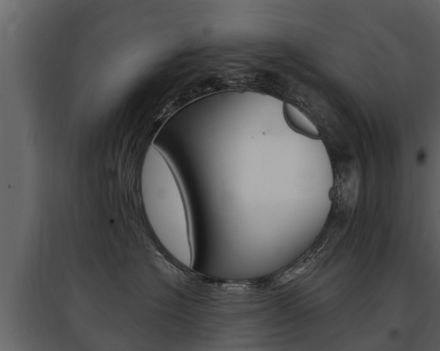 X0000097810574200803140801