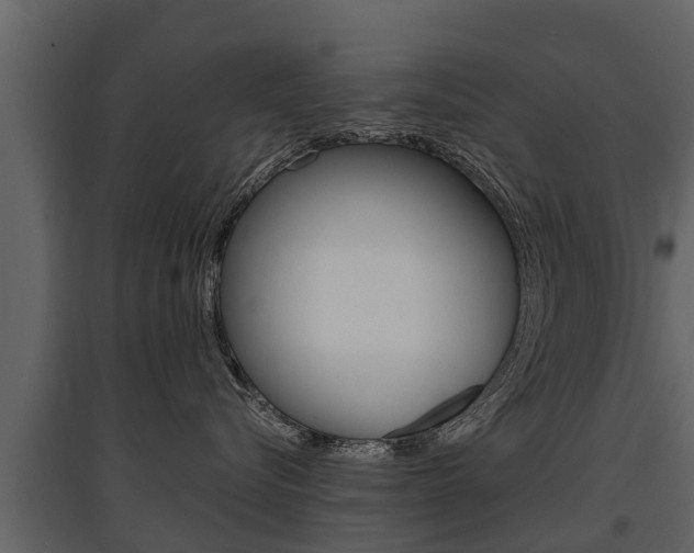X0000097810576200803140801