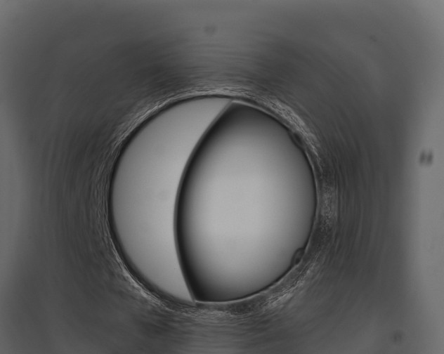 X0000097810577200803140801