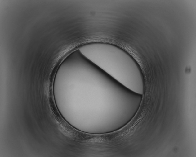 X0000097810578200803140801
