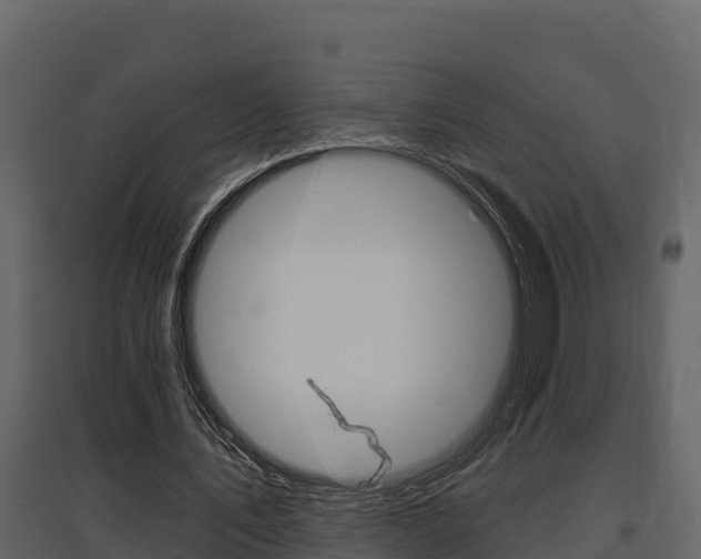 X0000097810579200803140801