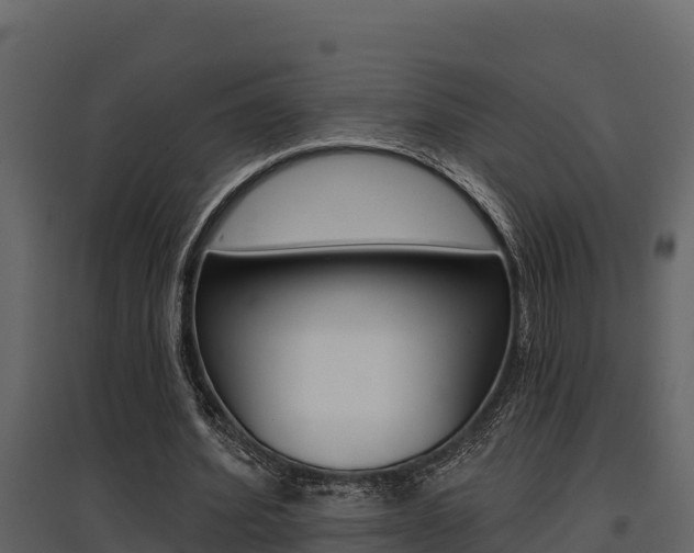 X0000097810580200803140801