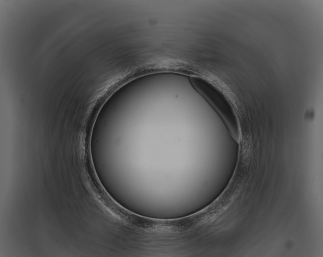 X0000097810581200803140801