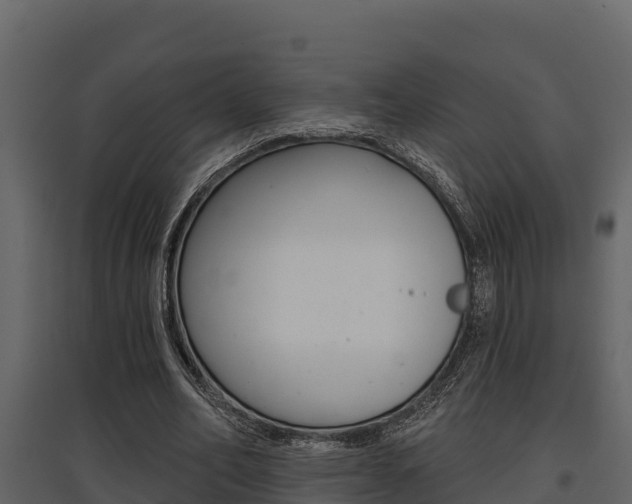 X0000097810582200803140801