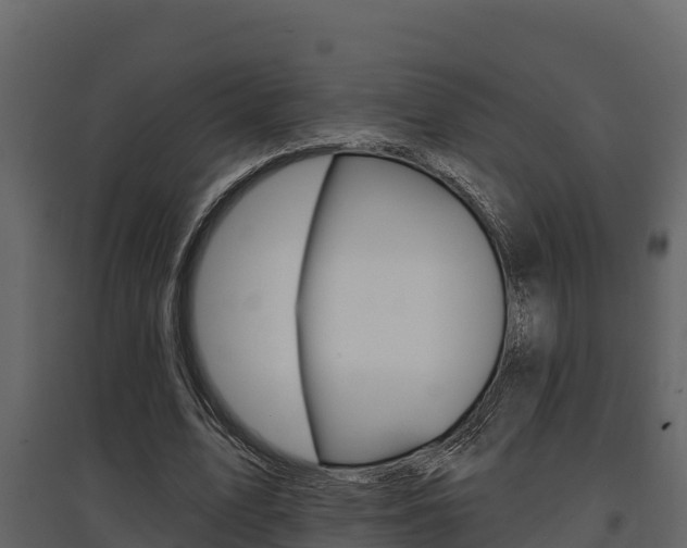 X0000097810583200803140801