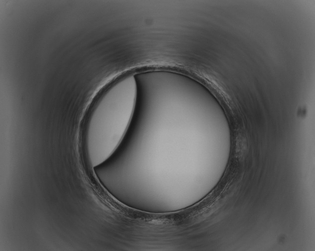 X0000097810584200803140801