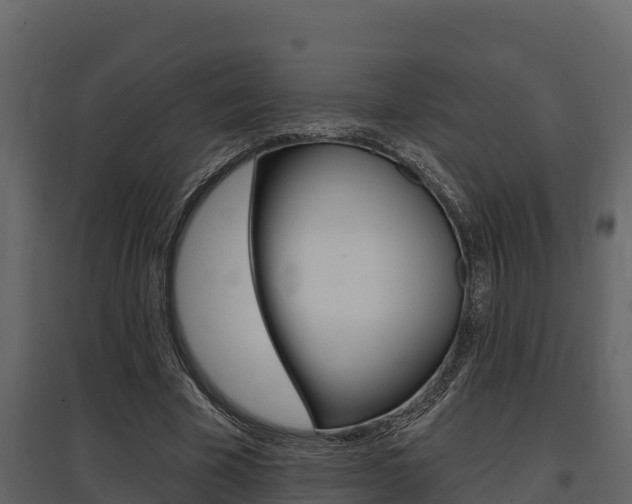 X0000097810585200803140801