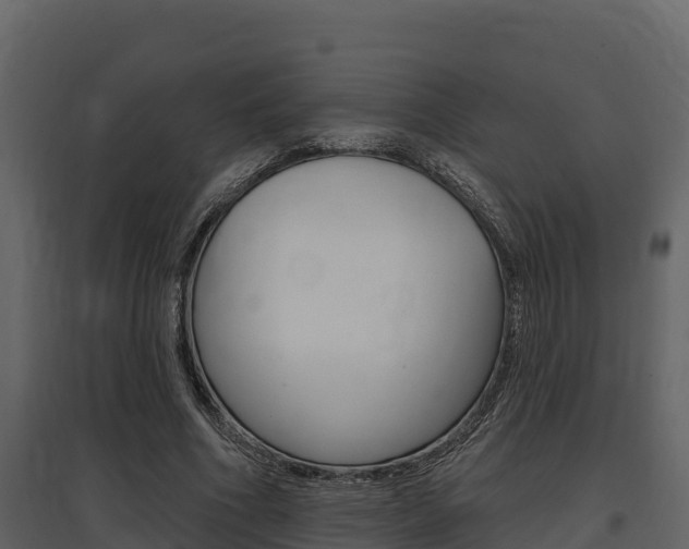 X0000097810586200803140801